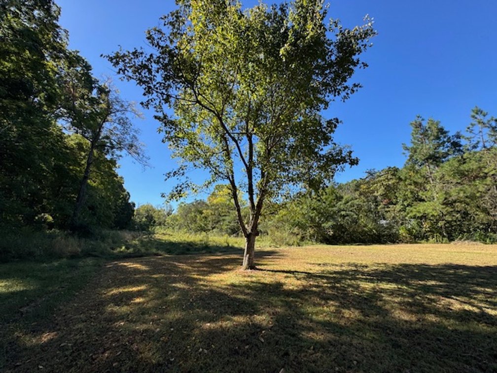 Image for Court-Ordered Estate Auction - Hwy 100: 6 acres & House - 