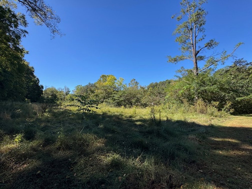 Image for Court-Ordered Estate Auction - Hwy 100: 6 acres & House - 