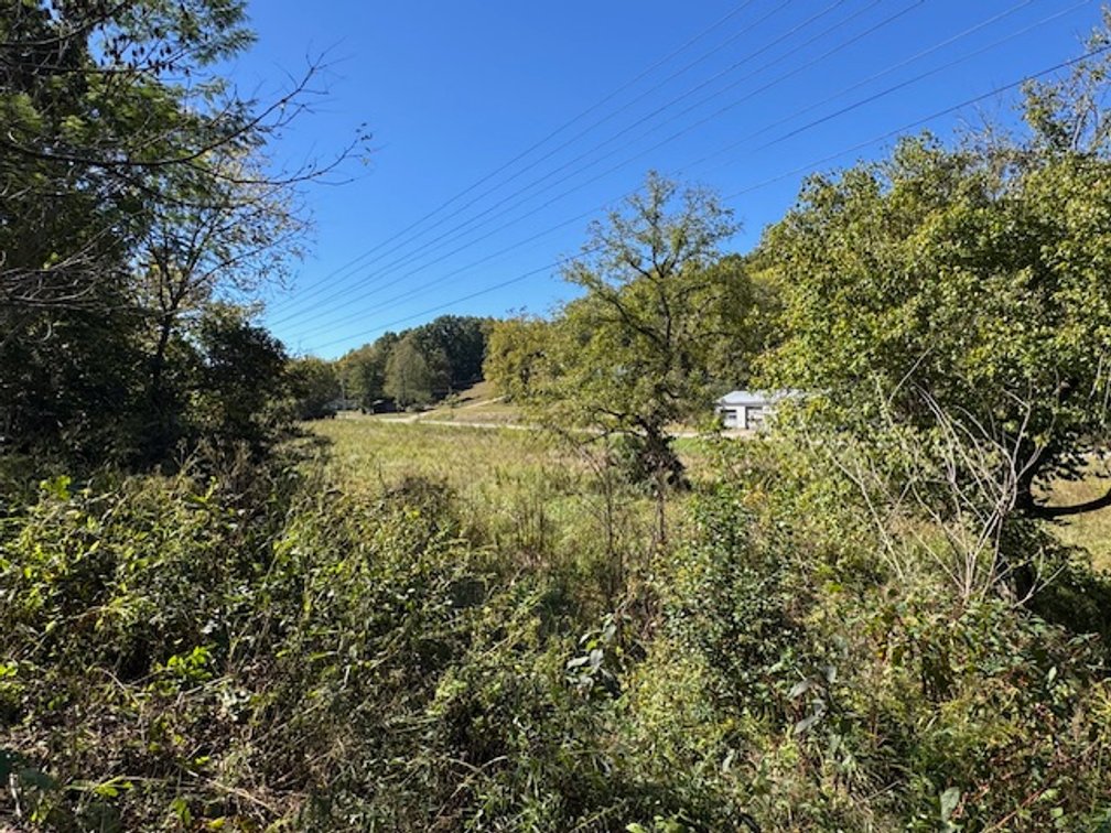 Image for Court-Ordered Estate Auction - Hwy 100: 6 acres & House - 