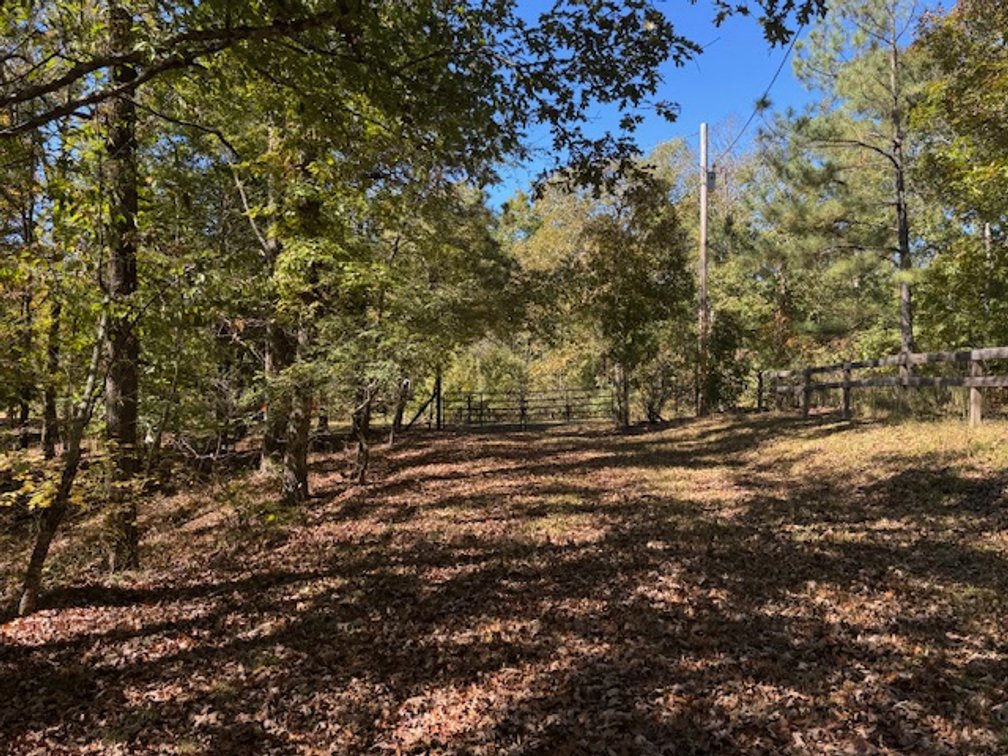 Image for Cabin & Lake - 44.5 acres on Hwy 50 in Hickman County - Joins 800-acre WMA!