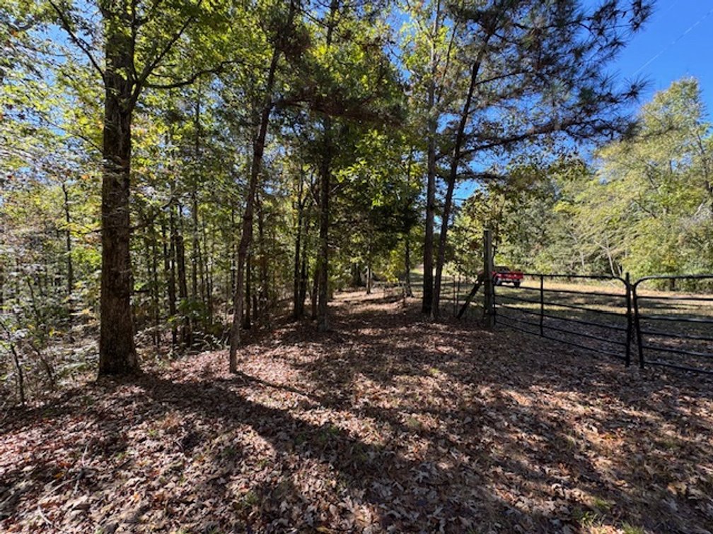 Image for Cabin & Lake - 44.5 acres on Hwy 50 in Hickman County - Joins 800-acre WMA!