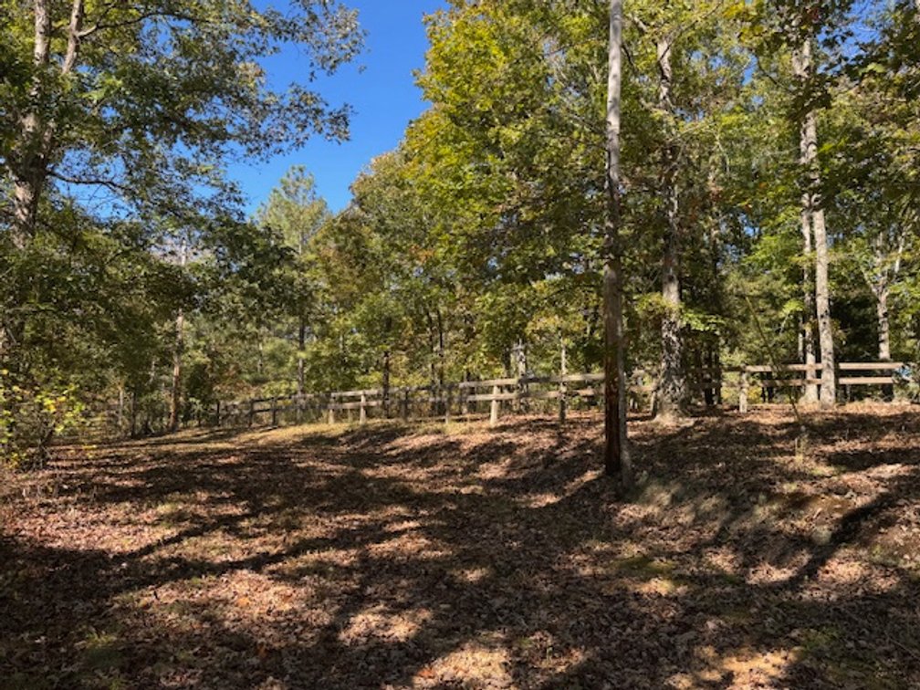 Image for Cabin & Lake - 44.5 acres on Hwy 50 in Hickman County - Joins 800-acre WMA!