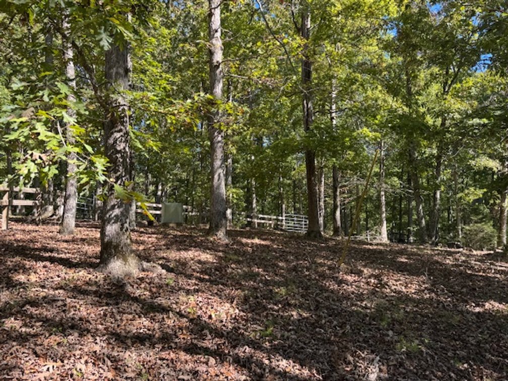 Image for Cabin & Lake - 44.5 acres on Hwy 50 in Hickman County - Joins 800-acre WMA!