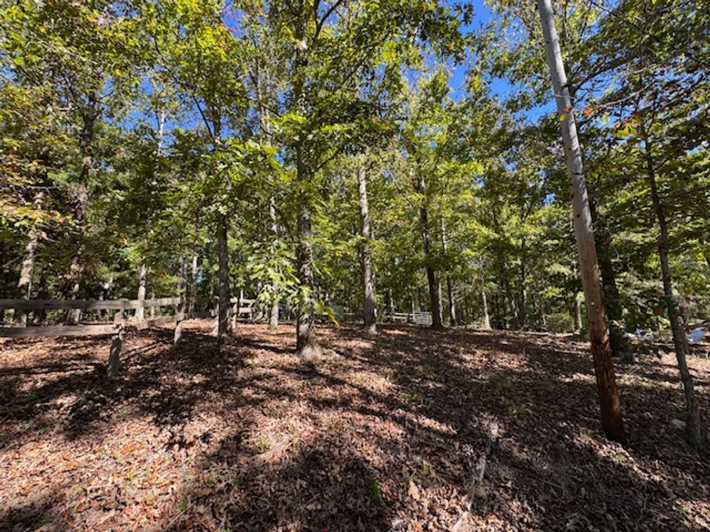 Image for Cabin & Lake - 44.5 acres on Hwy 50 in Hickman County - Joins 800-acre WMA!