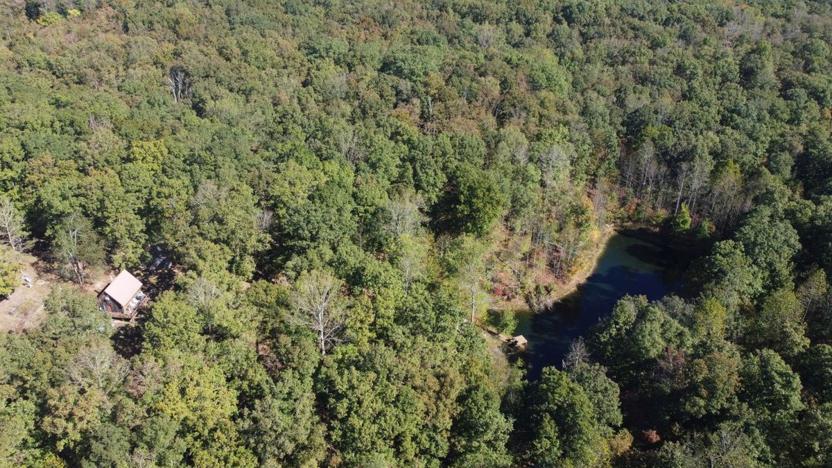 Image for Cabin & Lake - 44.5 acres on Hwy 50 in Hickman County - Joins 800-acre WMA!