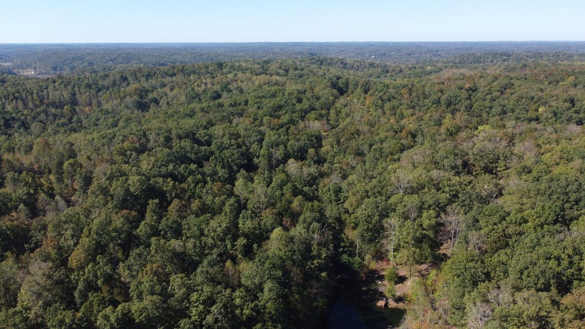 Image for Cabin & Lake - 44.5 acres on Hwy 50 in Hickman County - Joins 800-acre WMA!