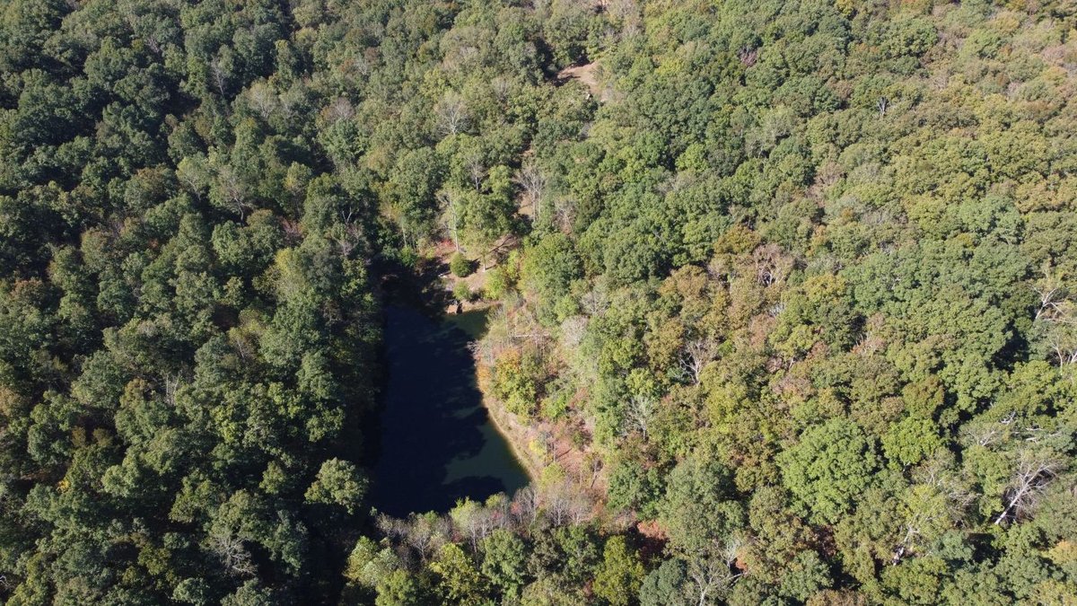 Image for Cabin & Lake - 44.5 acres on Hwy 50 in Hickman County - Joins 800-acre WMA!