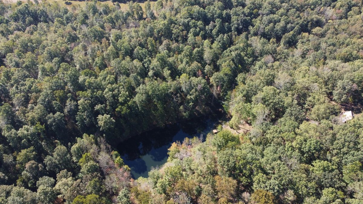 Image for Cabin & Lake - 44.5 acres on Hwy 50 in Hickman County - Joins 800-acre WMA!
