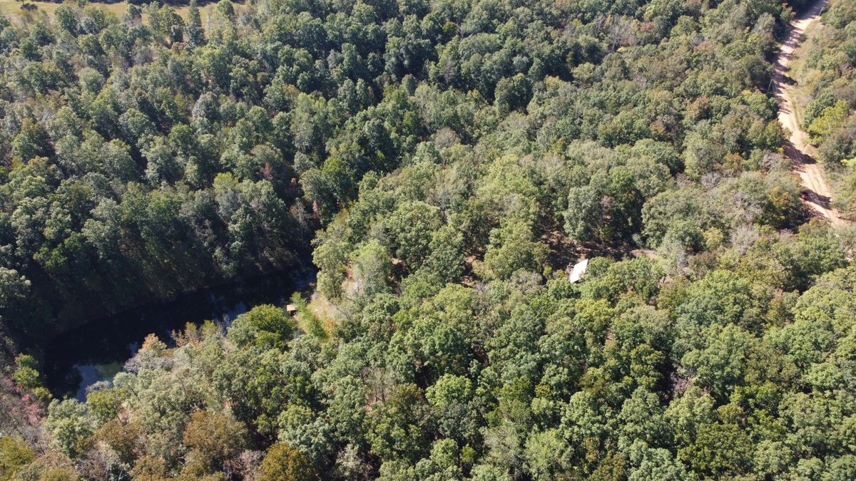 Image for Cabin & Lake - 44.5 acres on Hwy 50 in Hickman County - Joins 800-acre WMA!