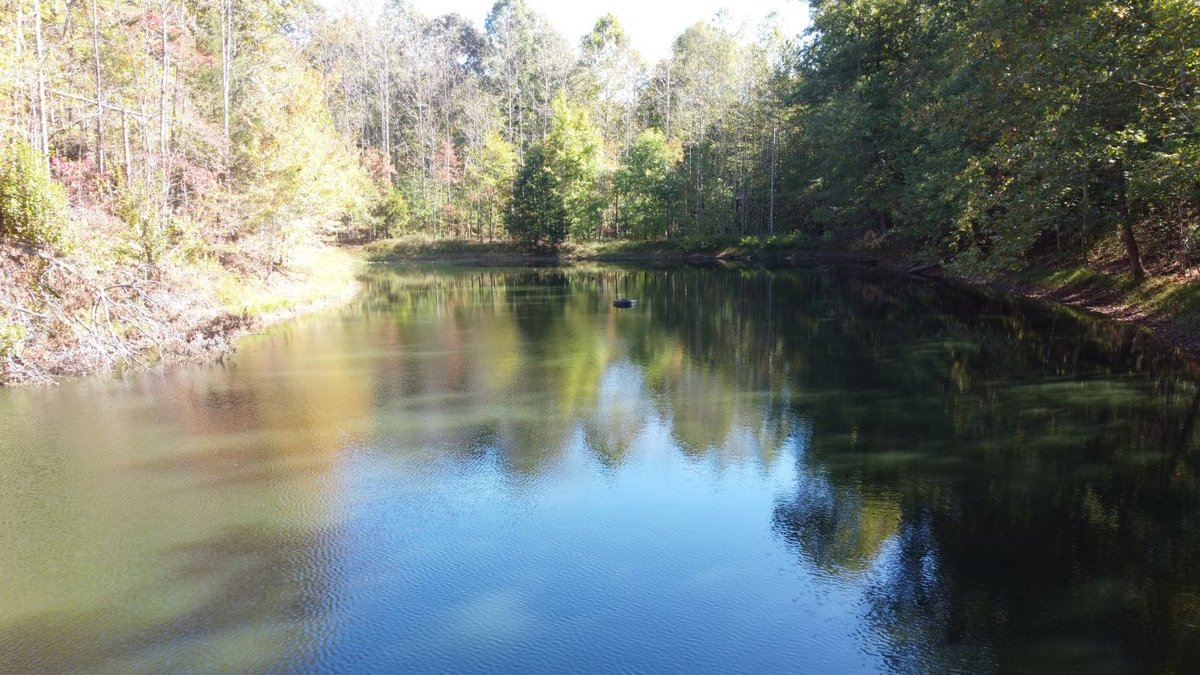 Image for Cabin & Lake - 44.5 acres on Hwy 50 in Hickman County - Joins 800-acre WMA!