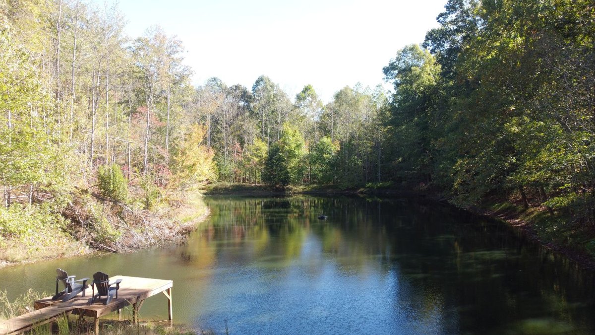 Image for Cabin & Lake - 44.5 acres on Hwy 50 in Hickman County - Joins 800-acre WMA!