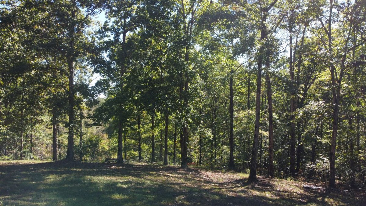 Image for Cabin & Lake - 44.5 acres on Hwy 50 in Hickman County - Joins 800-acre WMA!