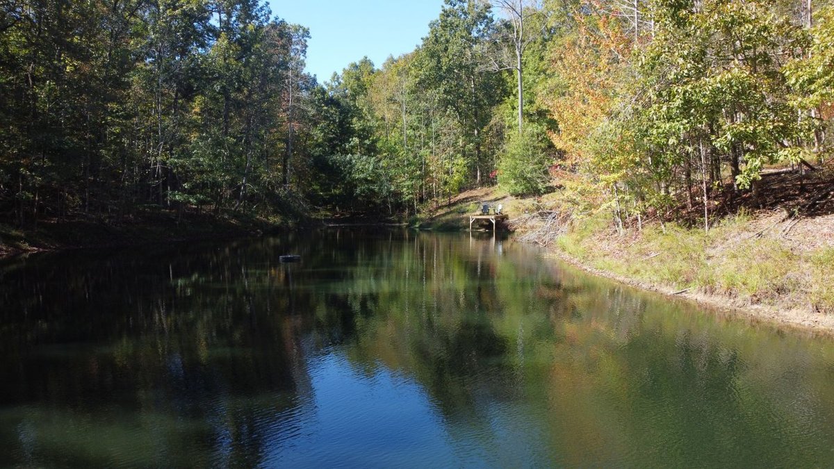 Image for Cabin & Lake - 44.5 acres on Hwy 50 in Hickman County - Joins 800-acre WMA!