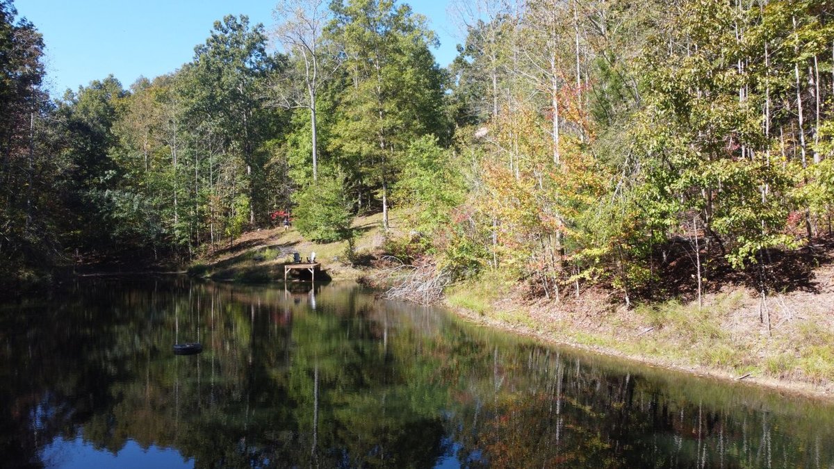 Image for Cabin & Lake - 44.5 acres on Hwy 50 in Hickman County - Joins 800-acre WMA!
