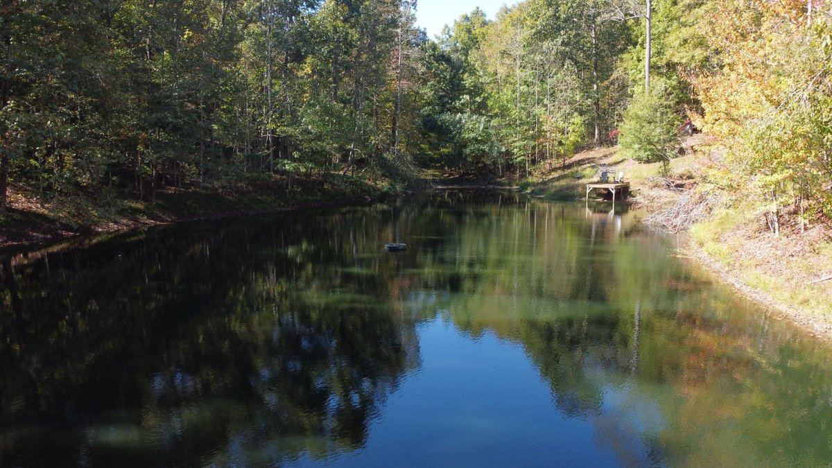 Image for Cabin & Lake - 44.5 acres on Hwy 50 in Hickman County - Joins 800-acre WMA!
