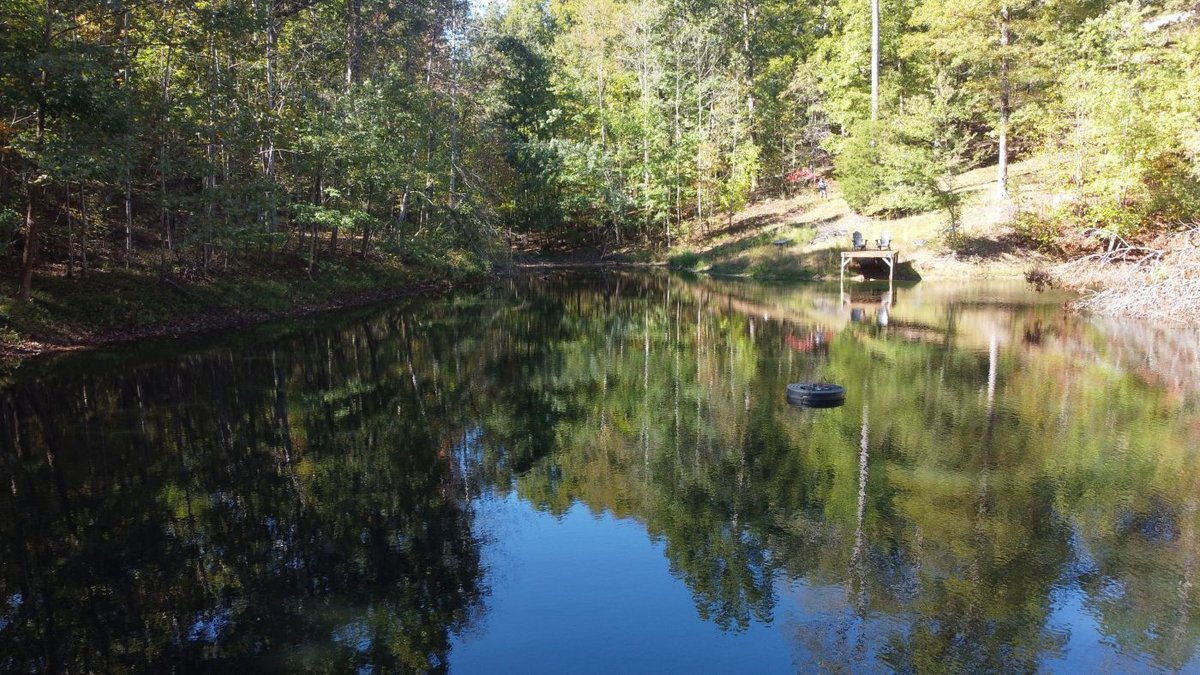 Image for Cabin & Lake - 44.5 acres on Hwy 50 in Hickman County - Joins 800-acre WMA!