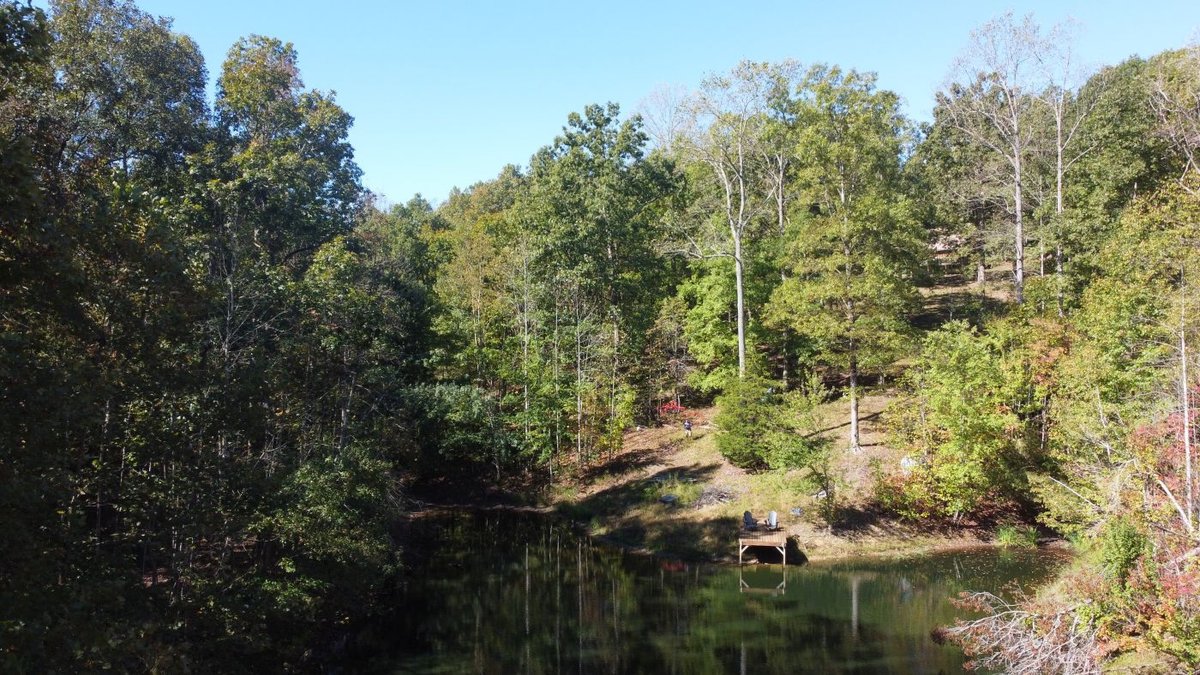Image for Cabin & Lake - 44.5 acres on Hwy 50 in Hickman County - Joins 800-acre WMA!
