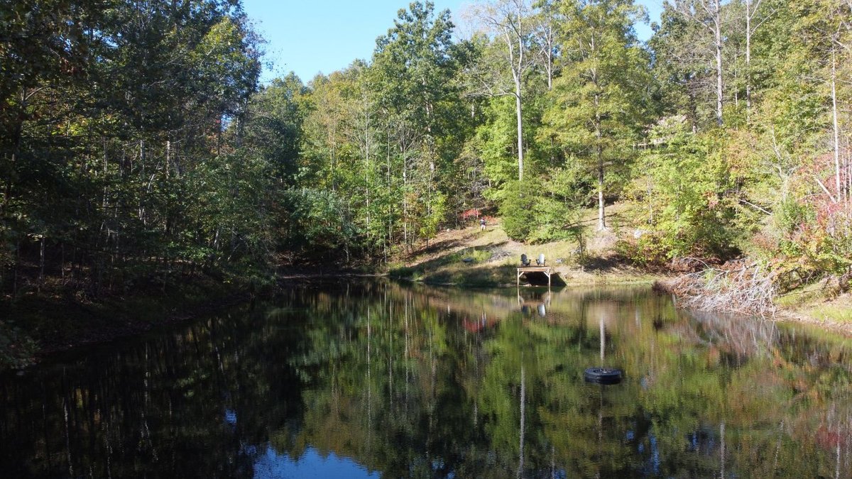 Image for Cabin & Lake - 44.5 acres on Hwy 50 in Hickman County - Joins 800-acre WMA!