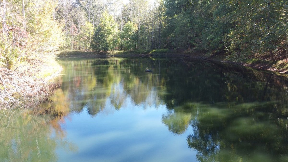 Image for Cabin & Lake - 44.5 acres on Hwy 50 in Hickman County - Joins 800-acre WMA!