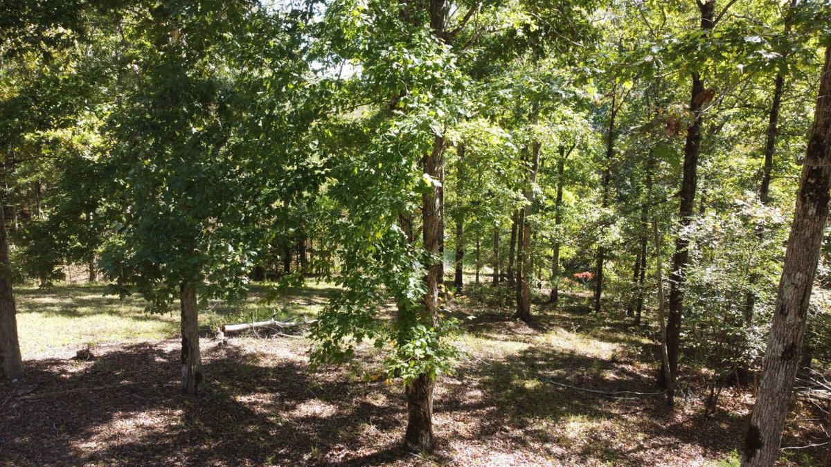 Image for Cabin & Lake - 44.5 acres on Hwy 50 in Hickman County - Joins 800-acre WMA!