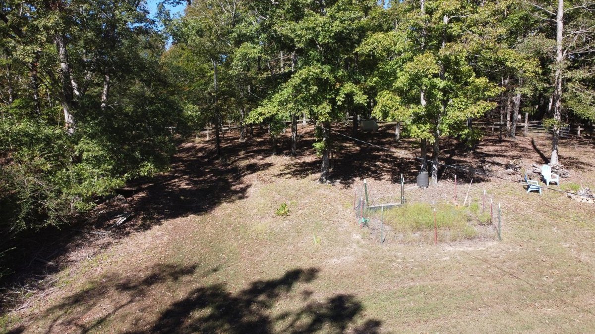 Image for Cabin & Lake - 44.5 acres on Hwy 50 in Hickman County - Joins 800-acre WMA!