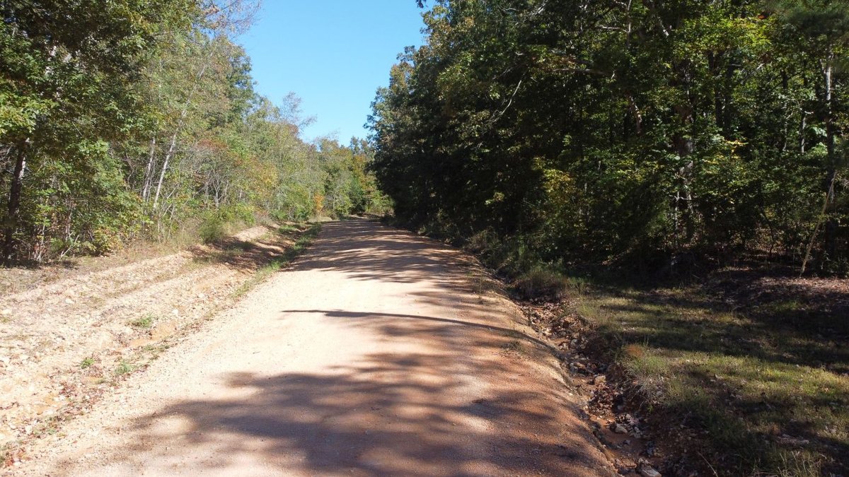 Image for Cabin & Lake - 44.5 acres on Hwy 50 in Hickman County - Joins 800-acre WMA!