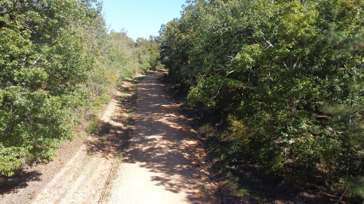 Image for Cabin & Lake - 44.5 acres on Hwy 50 in Hickman County - Joins 800-acre WMA!