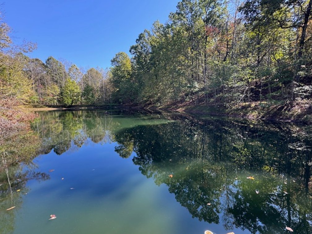 Image for Cabin & Lake - 44.5 acres on Hwy 50 in Hickman County - Joins 800-acre WMA!