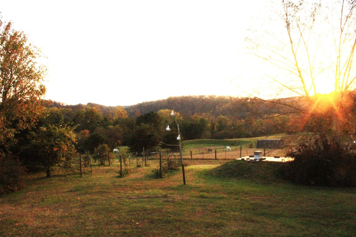 Image for Duck River 