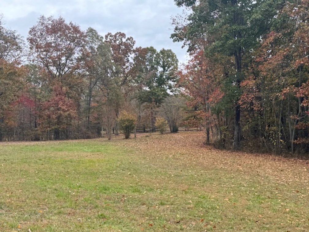 Image for Rustic Retreat / Country Getaway on 16+ Acres 1 Hour West of Nashville