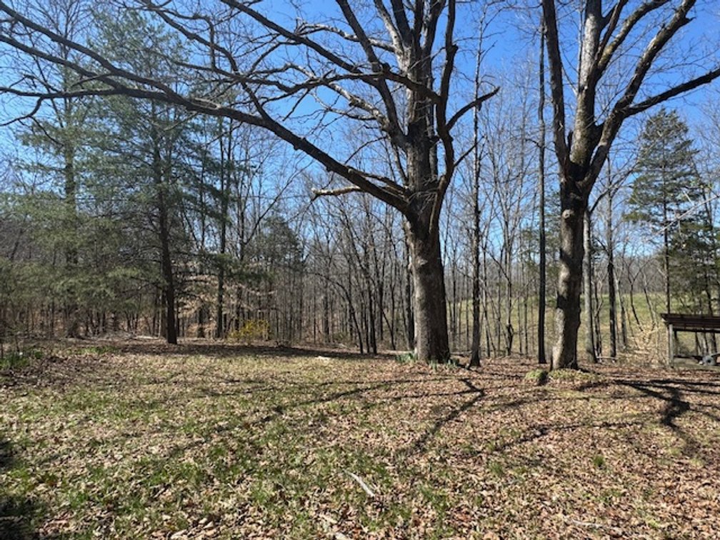 Image for 5.4 Acres off Hwy 7 - House & Shop on Buck Litton Road