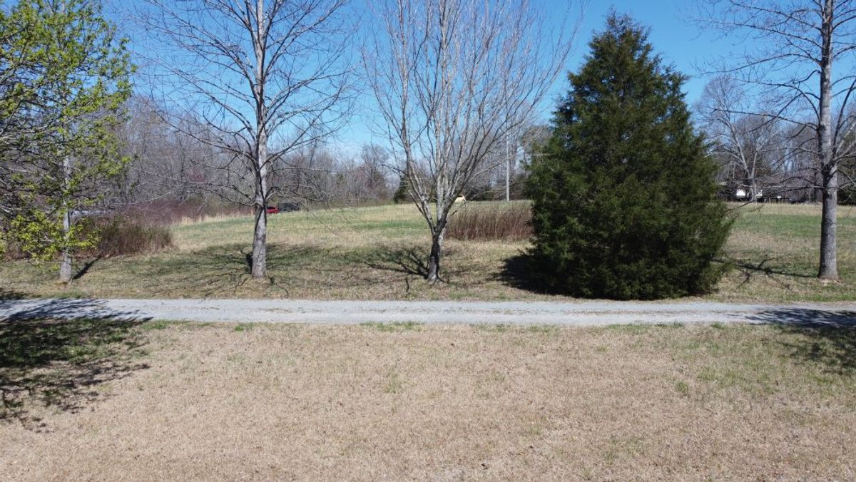 Image for 5.4 Acres off Hwy 7 - House & Shop on Buck Litton Road