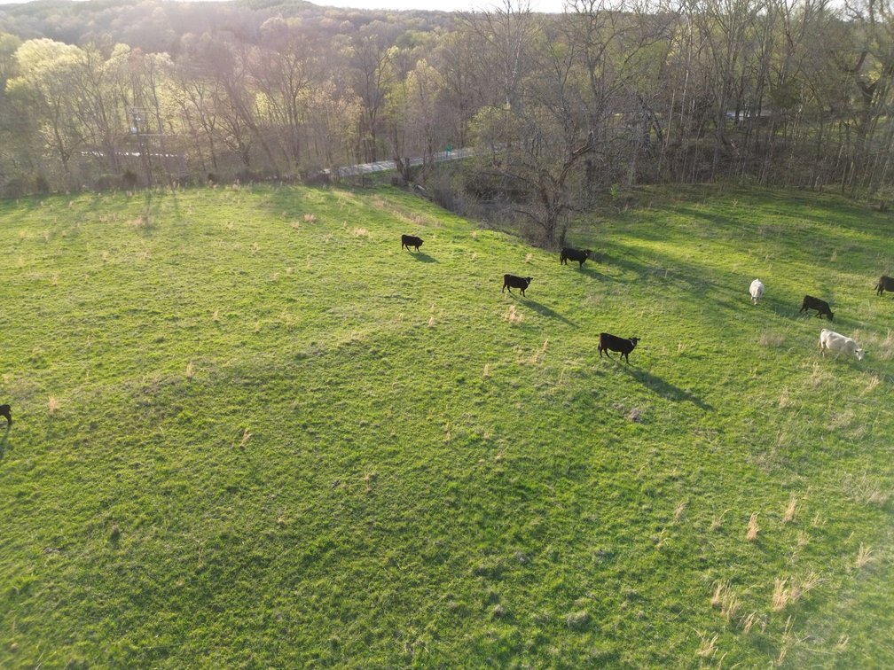 Image for 44 acres - Farm on Beaverdam Creek on Hwy 48 S