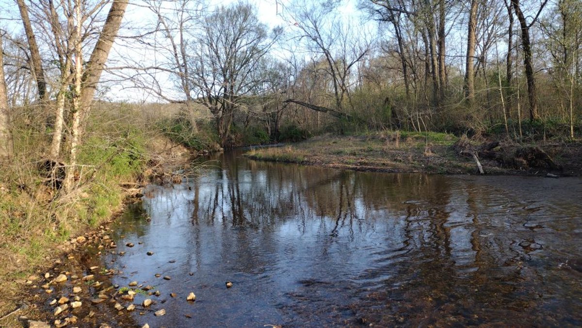 Image for 44 acres - Farm on Beaverdam Creek on Hwy 48 S