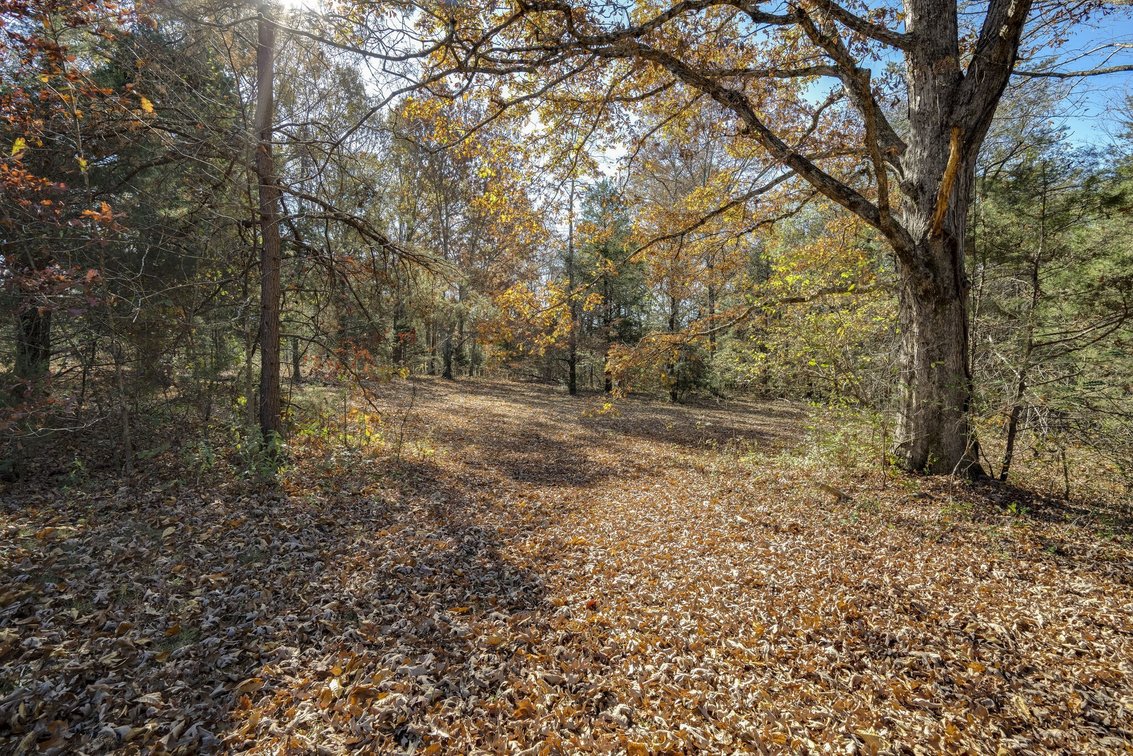 Image for 