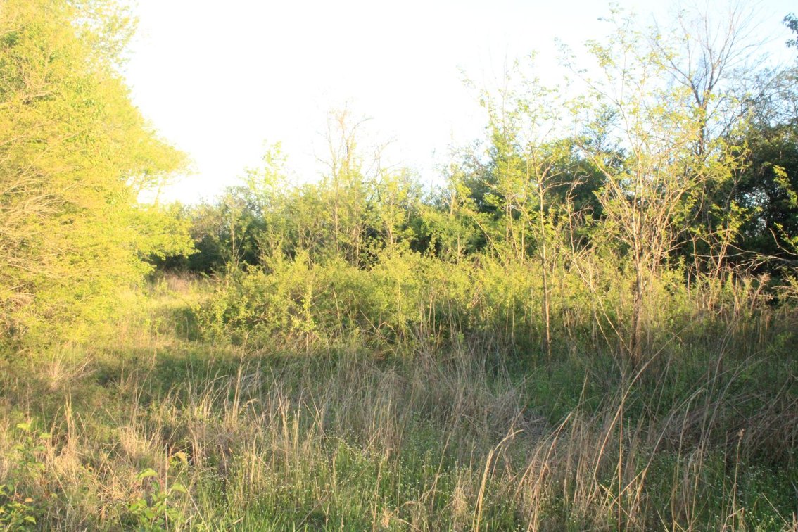 Image for House and 4.4 acres - Summertown Hwy - Lewis County