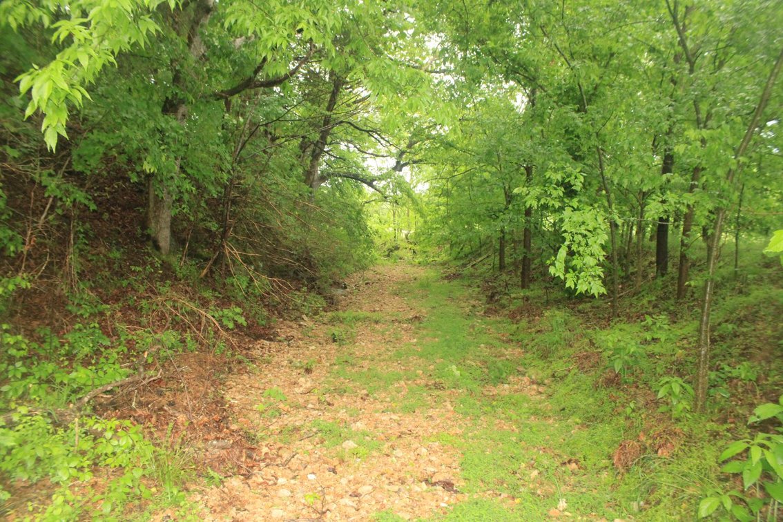 Image for 44 acres - Farm on Beaverdam Creek on Hwy 48 S