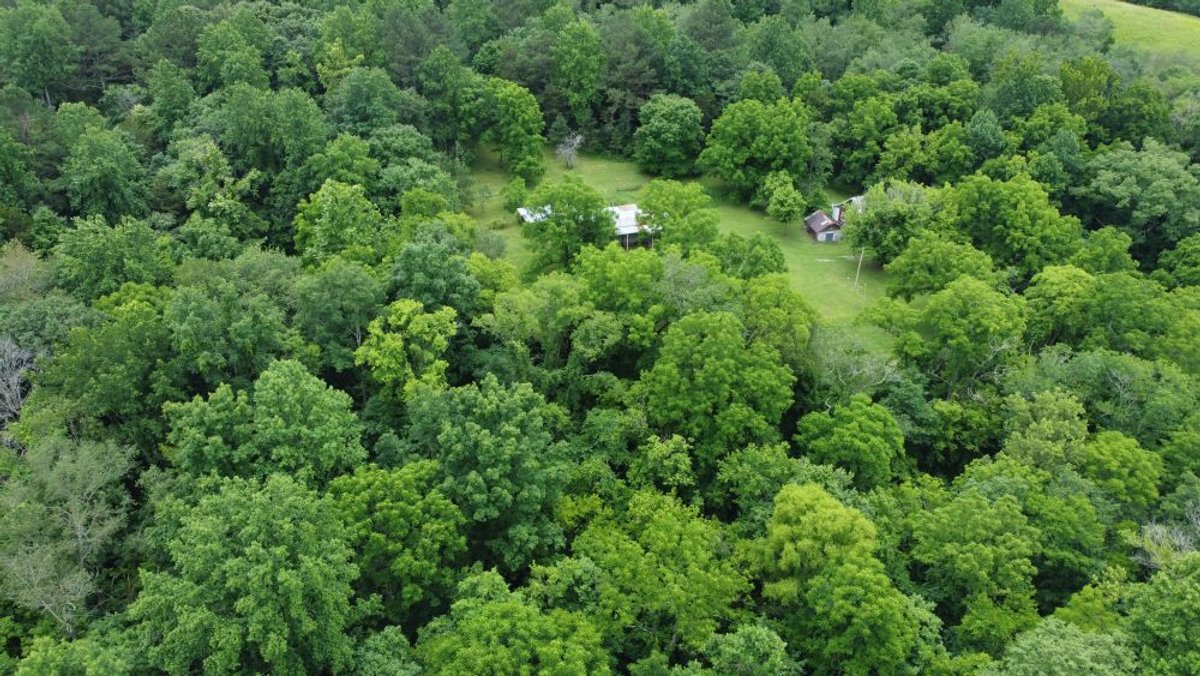 Image for Mill Creek -- Amazing Place, How Sweet the Sounds - 79 acres