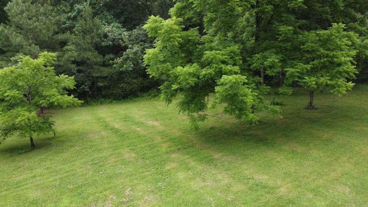 Image for Mill Creek -- Amazing Place, How Sweet the Sounds - 79 acres