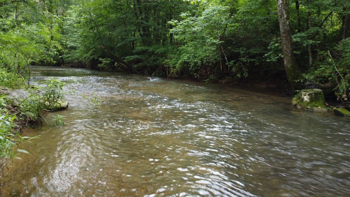 Image for Mill Creek -- Amazing Place, How Sweet the Sounds - 79 acres