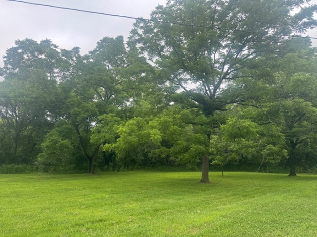 Image for Mill Creek -- Amazing Place, How Sweet the Sounds - 79 acres