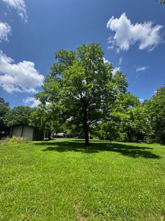 Image for Mill Creek -- Amazing Place, How Sweet the Sounds - 79 acres