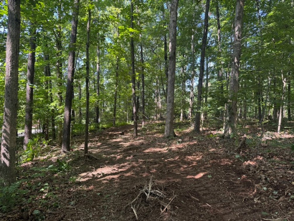 Image for Estate Auction - 3 Acres in Fairview - Attention Developers & Investors