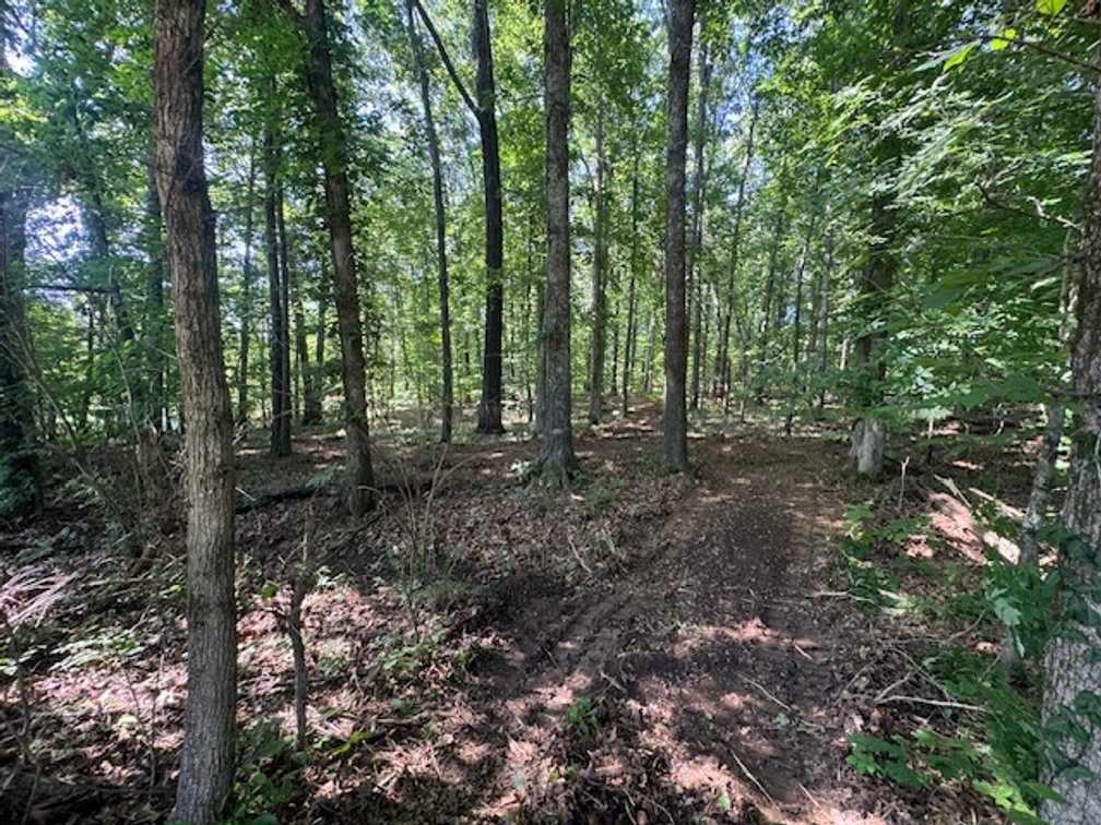 Image for Estate Auction - 3 Acres in Fairview - Attention Developers & Investors