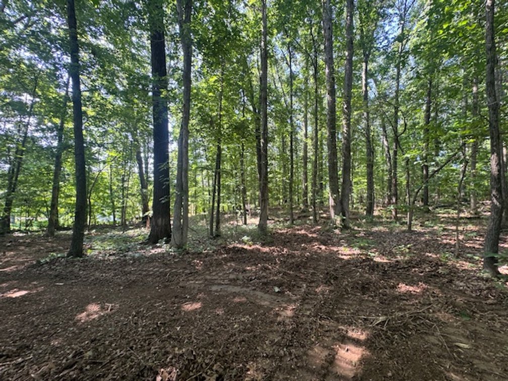 Image for Estate Auction - 3 Acres in Fairview - Attention Developers & Investors