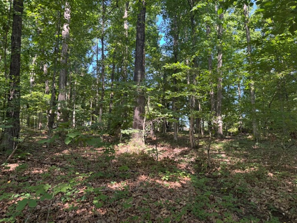 Image for Estate Auction - 3 Acres in Fairview - Attention Developers & Investors