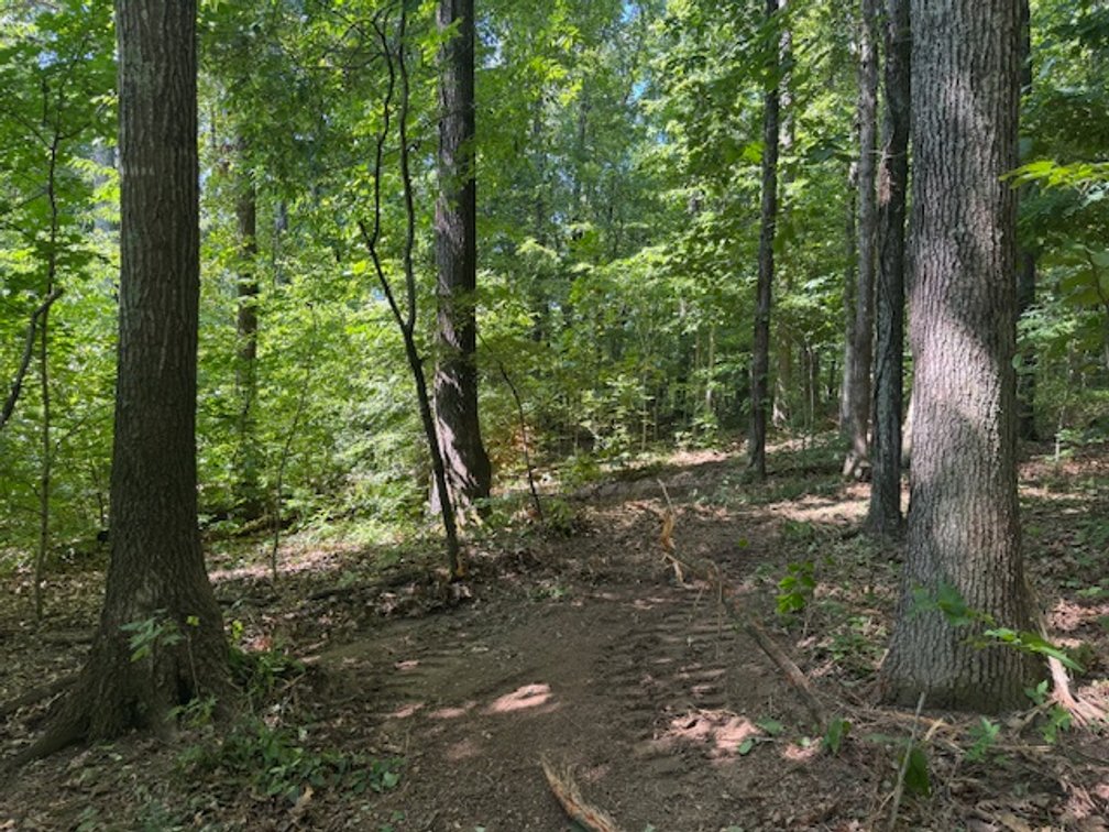 Image for Estate Auction - 3 Acres in Fairview - Attention Developers & Investors