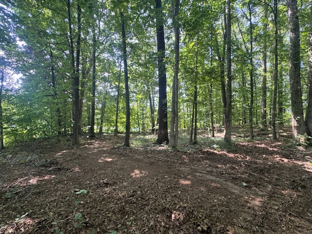 Image for Estate Auction - 3 Acres in Fairview - Attention Developers & Investors