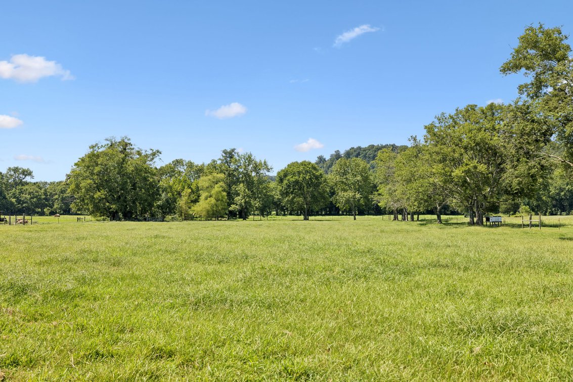Image for 