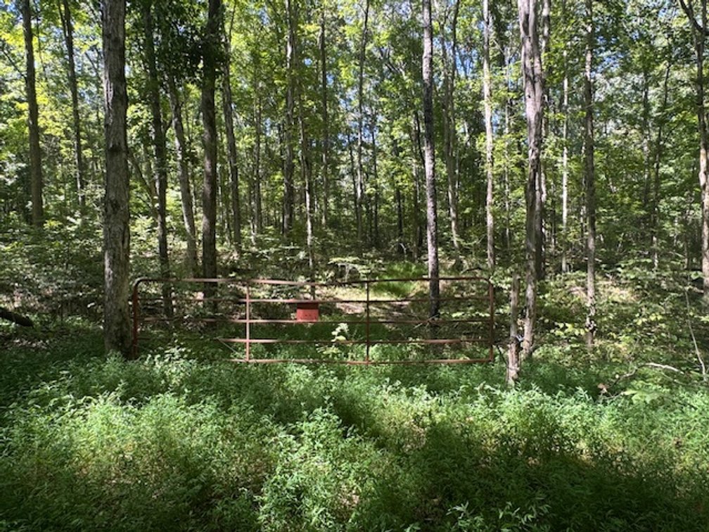 Image for 65 acres on Barren Fork Creek - Bon Aqua, TN